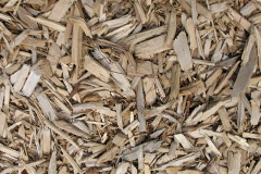 biomass boilers Ramsdean